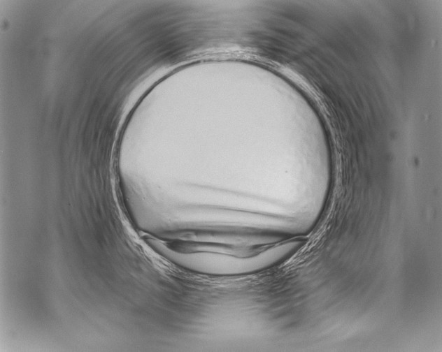 X0000070881440200607150135