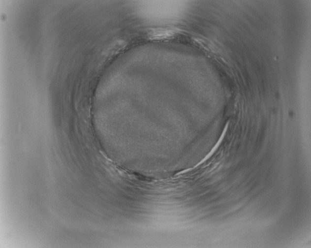 X0000070881441200607150134