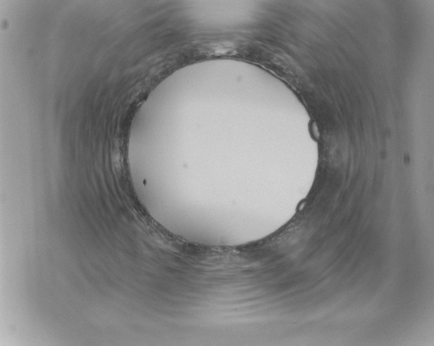 X0000070881442200607150134