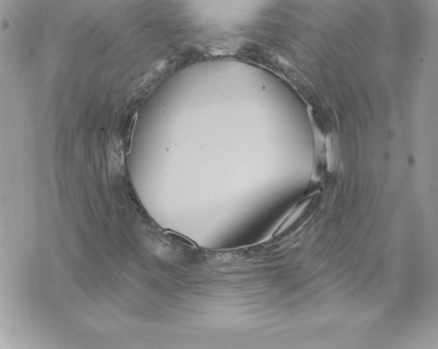 X0000070881443200607150134