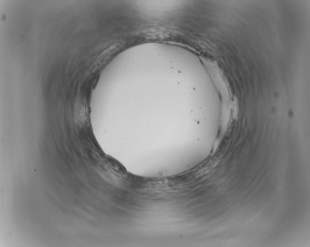 X0000070881444200607150134