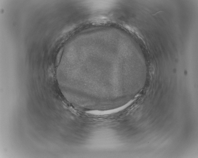 X0000070881445200607150134