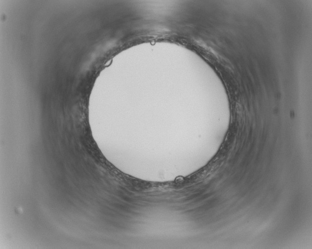 X0000070881447200607150134