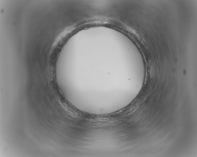 X0000070881448200607150134