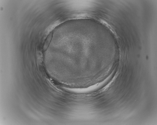 X0000070881449200607150134