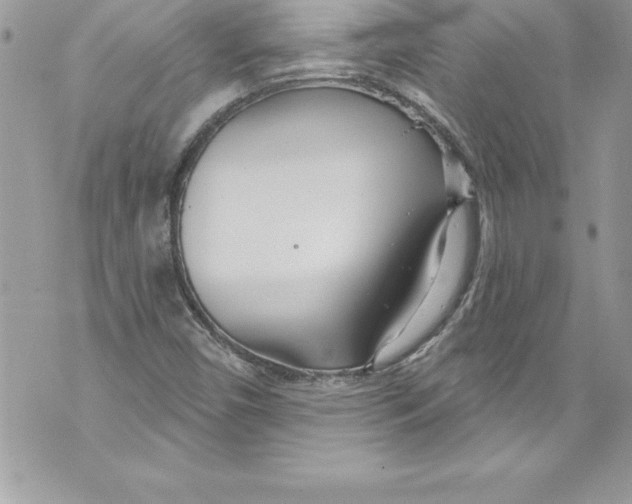 X0000070881450200607150134