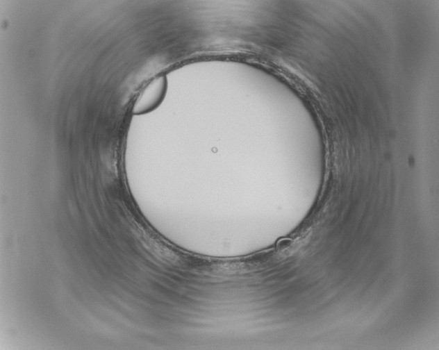 X0000070881451200607150134