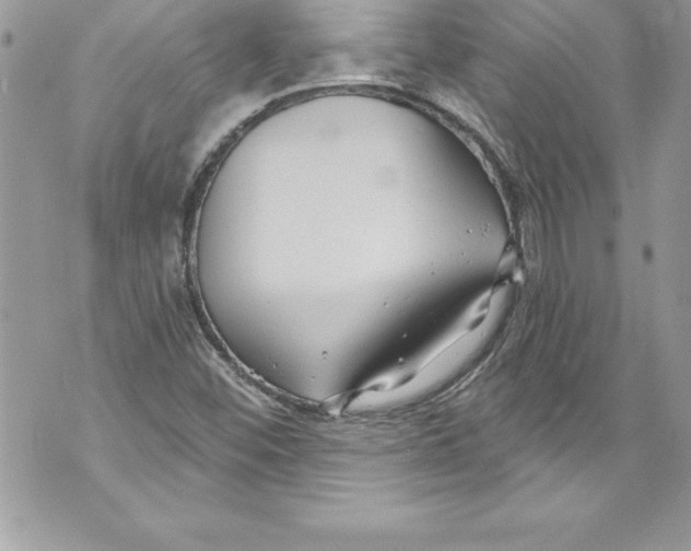 X0000070881452200607150134