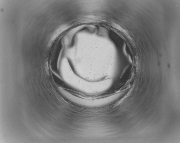 X0000070881453200607150134