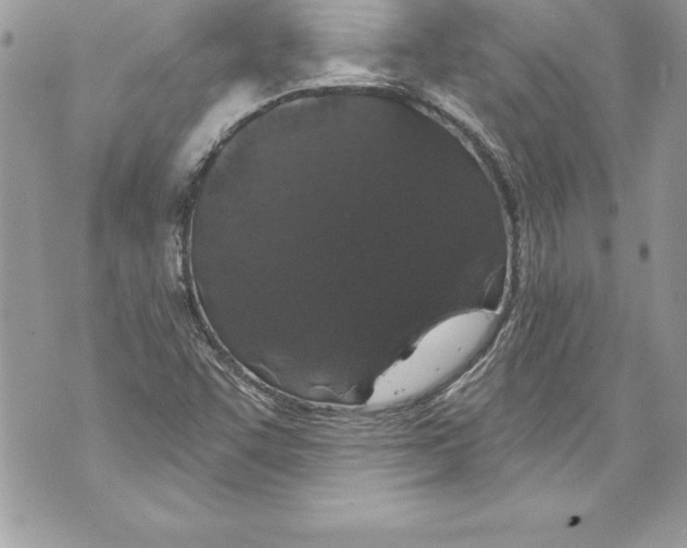 X0000070881455200607150134