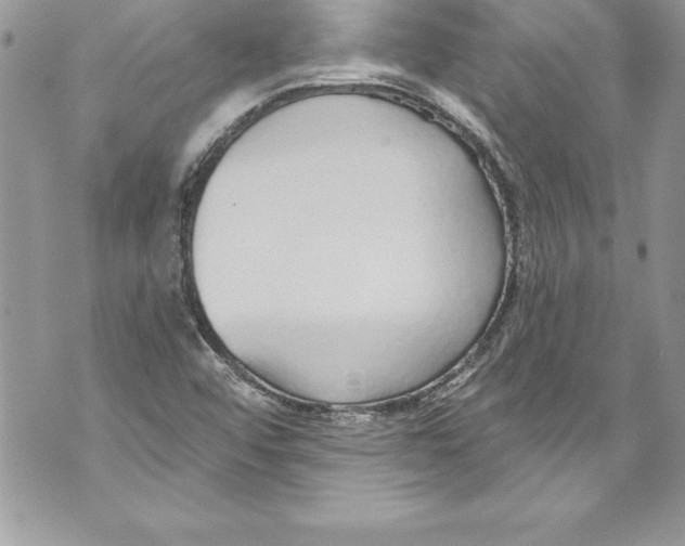 X0000070881456200607150134