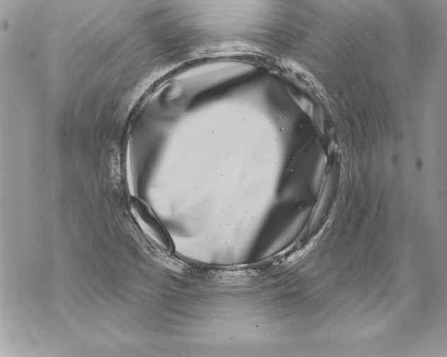 X0000070881457200607150134