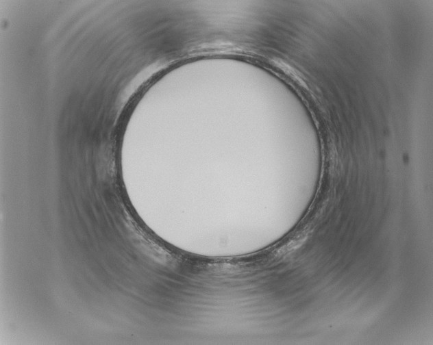 X0000070881458200607150134