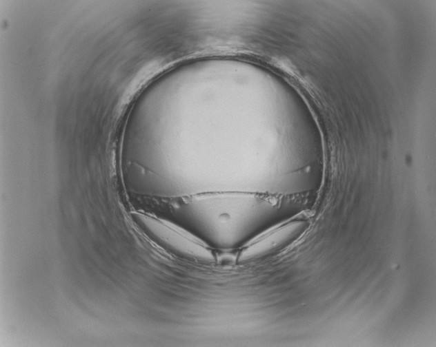 X0000070881459200607150134