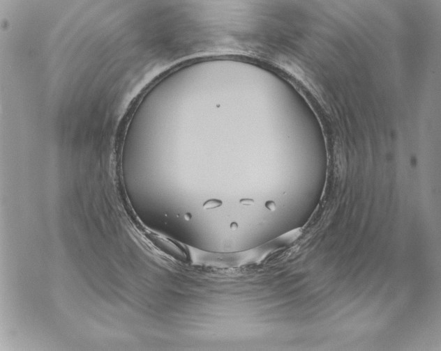 X0000070881460200607150134