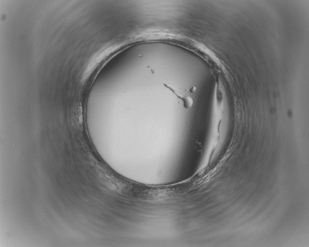 X0000070881461200607150134