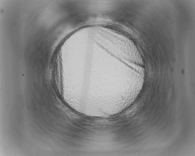 X0000070881462200607150134