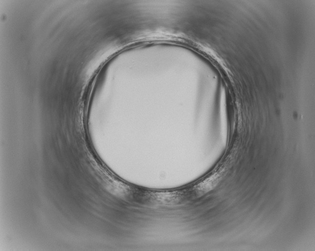 X0000070881463200607150134