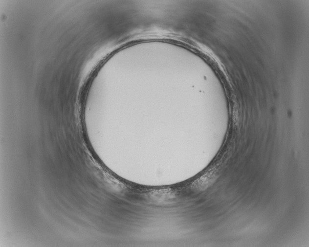 X0000070881464200607150134