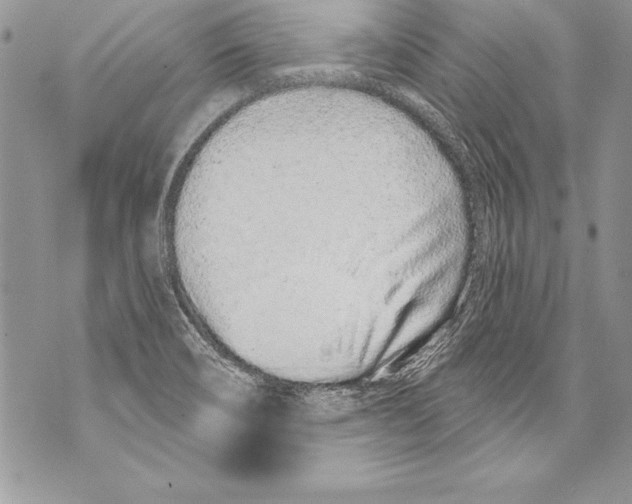 X0000070881466200607150134