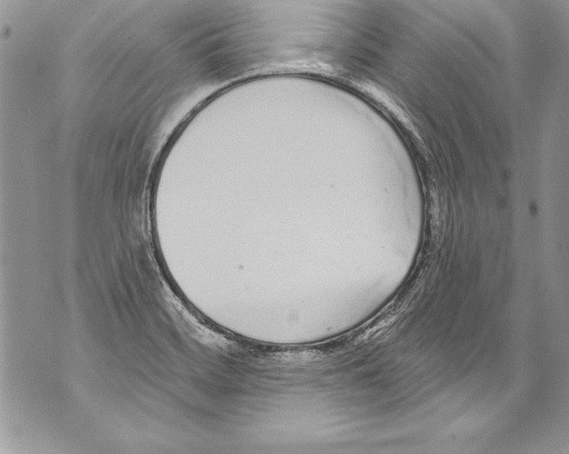 X0000070881468200607150134