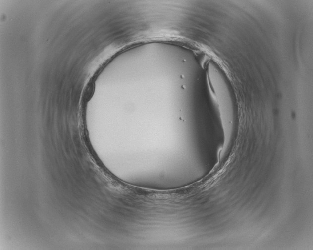 X0000070881469200607150134