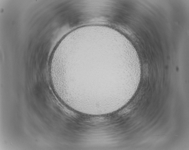 X0000070881470200607150134