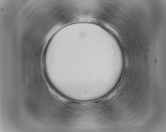 X0000070881471200607150134