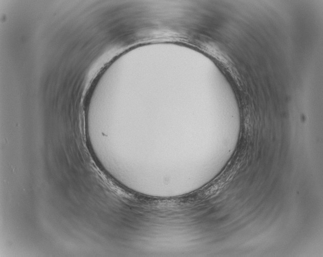 X0000070881472200607150134