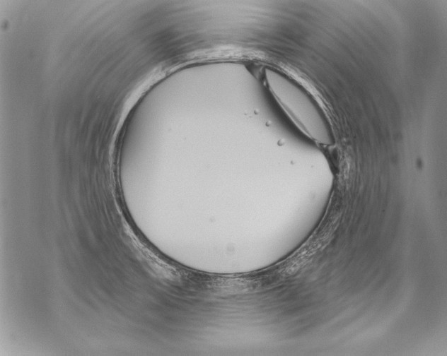 X0000070881475200607150134