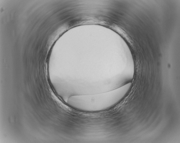 X0000070881476200607150134