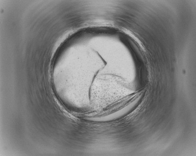 X0000070881477200607150134