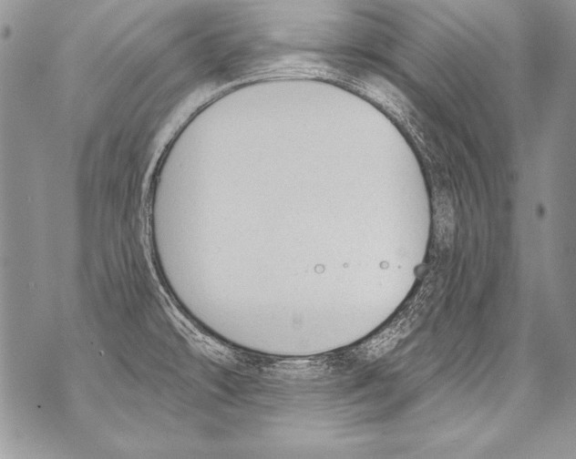 X0000070881478200607150134