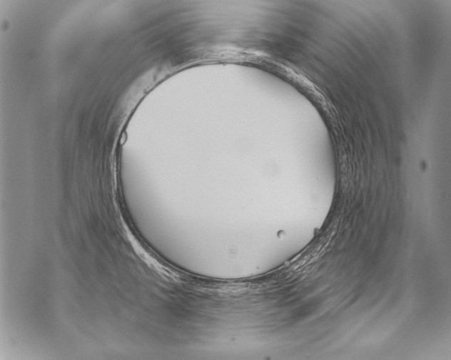 X0000070881479200607150134