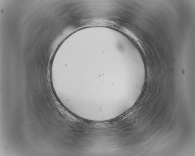 X0000070881480200607150134