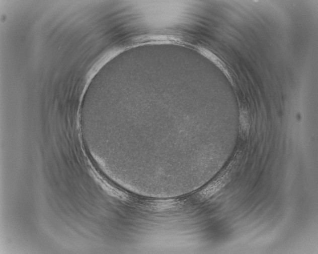 X0000070881482200607150134