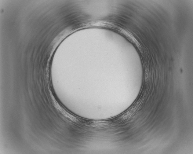 X0000070881483200607150134