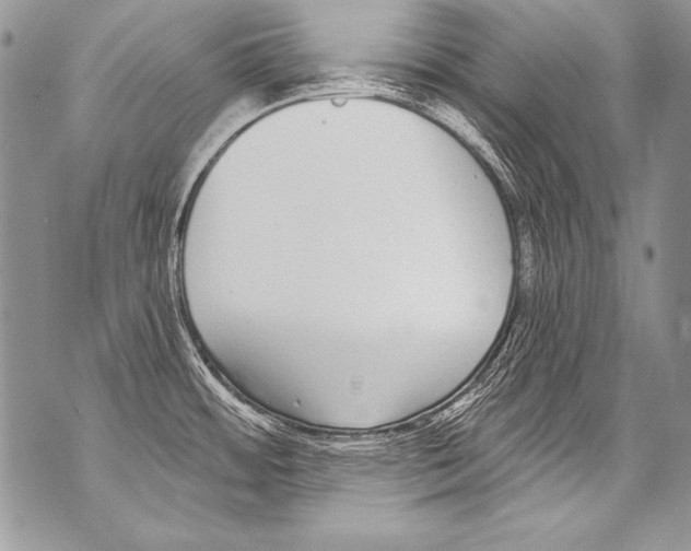 X0000070881484200607150134