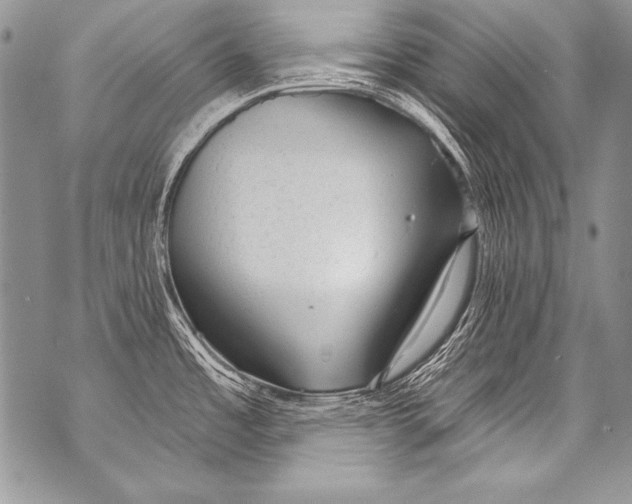 X0000070881485200607150134