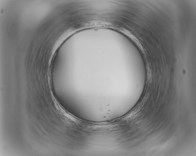 X0000070881486200607150134