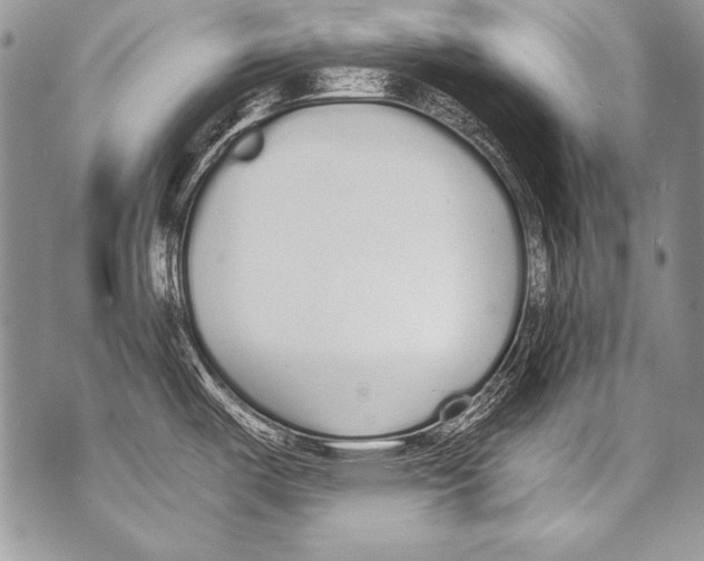 X0000070881487200607150134