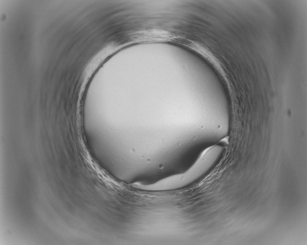 X0000070881488200607150134