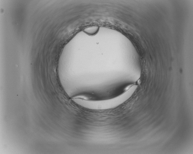 X0000070881489200607150133