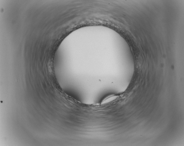 X0000070881490200607150133