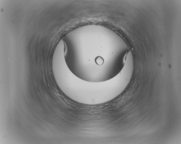 X0000070881492200607150133