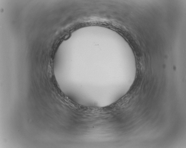 X0000070881493200607150133