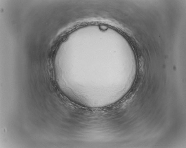 X0000070881494200607150133