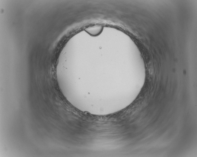 X0000070881495200607150133