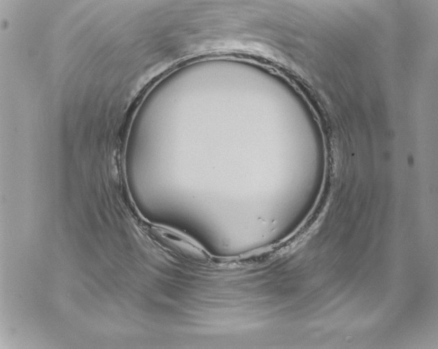 X0000070881497200607150133