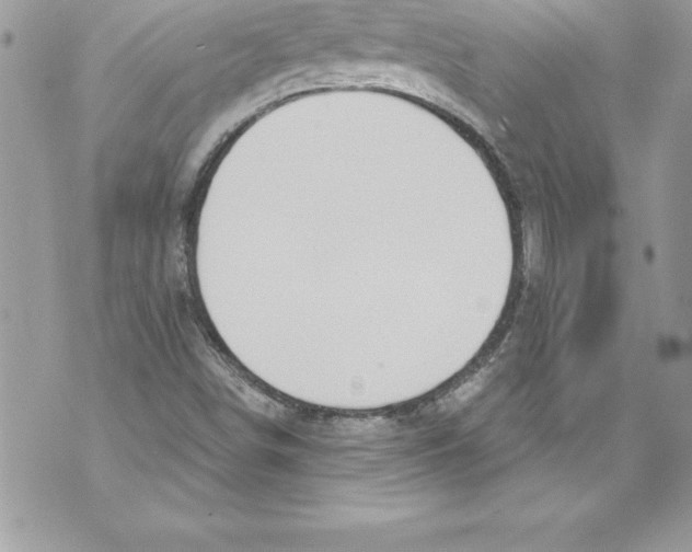 X0000070881498200607150133